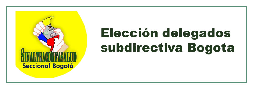 Elección de Delegados Subdirectiva Bogotá Logo