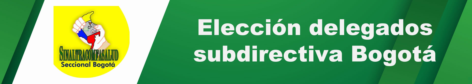 Elección de Delegados Subdirectiva Bogotá Logo